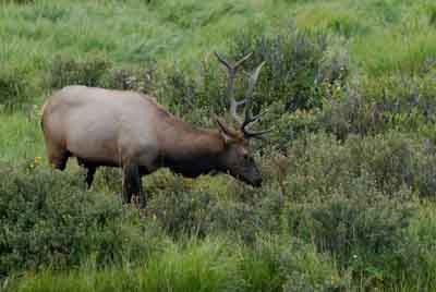 The Rocky Mountains in the Colorado state, United States. Photographs by Amar Guillen.